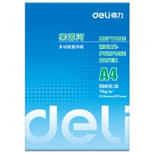 得力（deli） 7402 A4 莱茵河复印纸 70g 500张/包 8包/箱